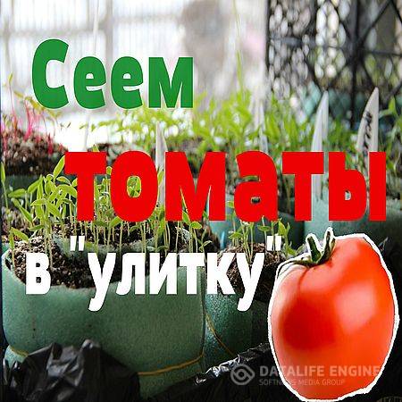 Сеем томаты в "улитку" (2016) WEBRip